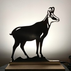 Chamois lumineux lampe Leds