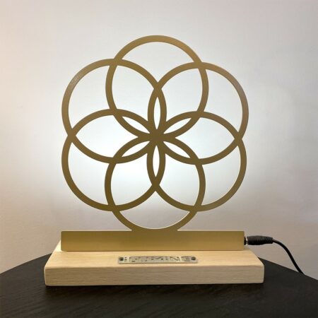 lampe graine de vie | il umine