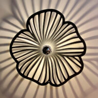 Kapucine noire applique